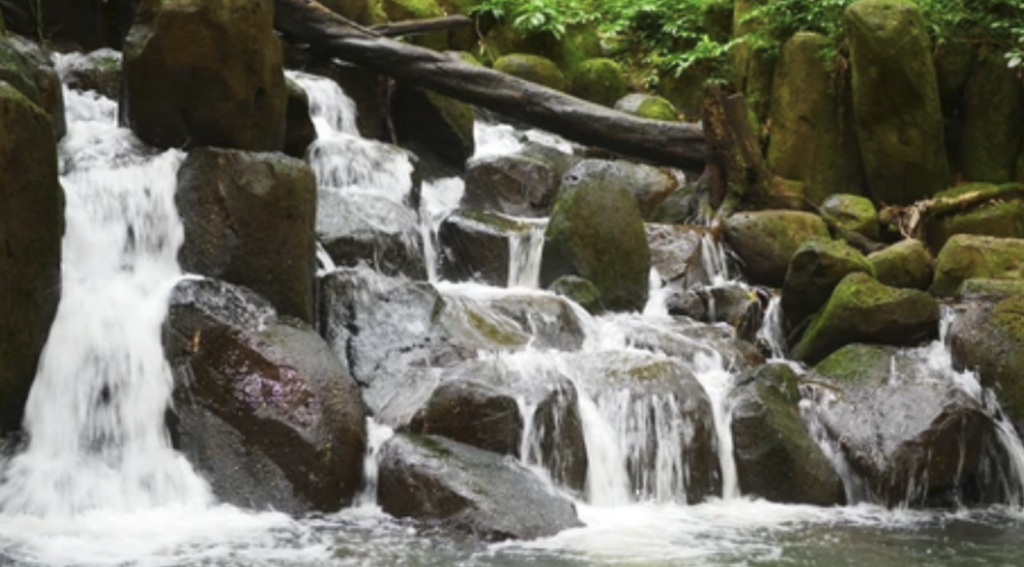 screenshot 2026 04 26 104424