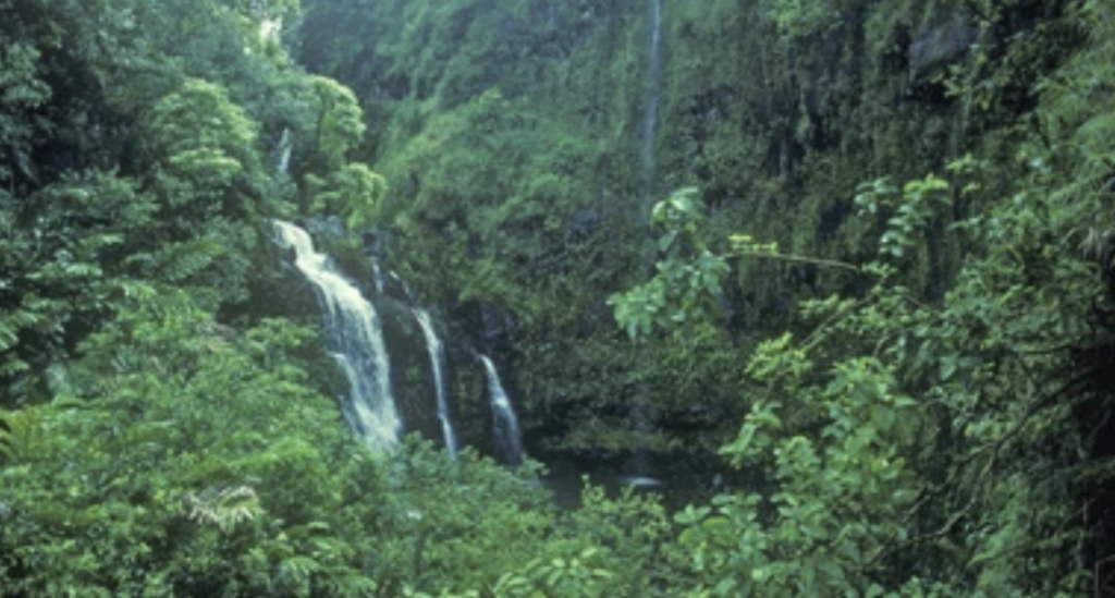 Maui & Oahu: Between Waterfalls and Waves screenshot 2026 04 26 104509