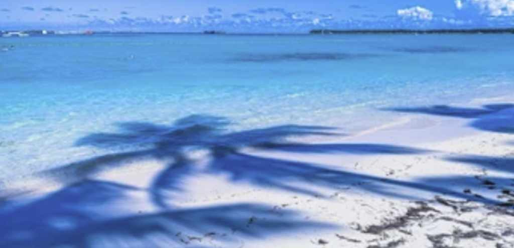 screenshot 2026 04 26 112121